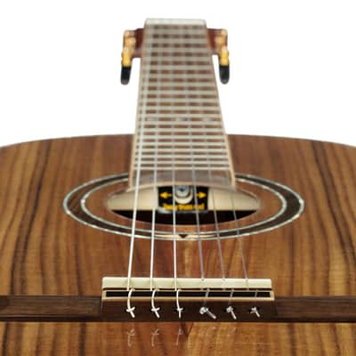 Ortega RE30TH-ACA 30th Anniversary Series AAA Acacia Top Nato Neck Nylon 6-String Classical Acoustic-Electric Guitar w/Gig Bag image 14