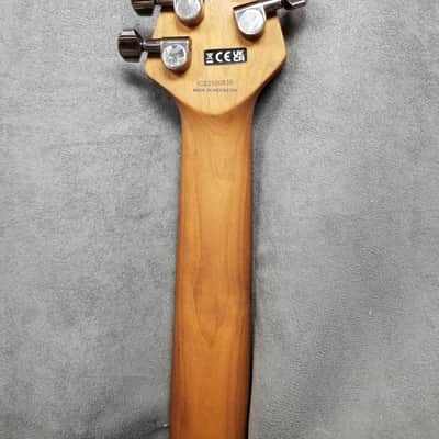 EVH Wolfgang WG Standard QM with Baked Maple Fretboard Northern Lights image 5