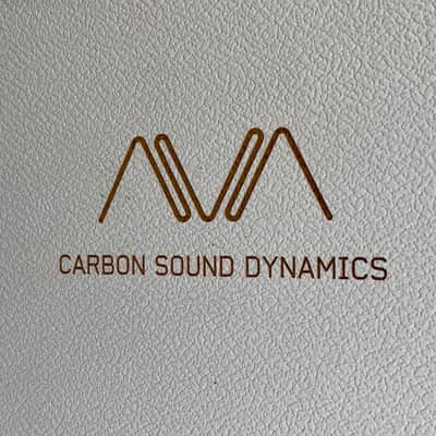 AVA Guitars Model One 2021 Carbon/White 1st Edition LTD to 100 pieces Ser # 22 image 12