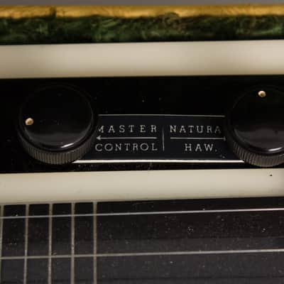 National Electric Hawaiian Lap Steel Electric Guitar (1938), ser. #B1295, original tan hard shell case. image 13