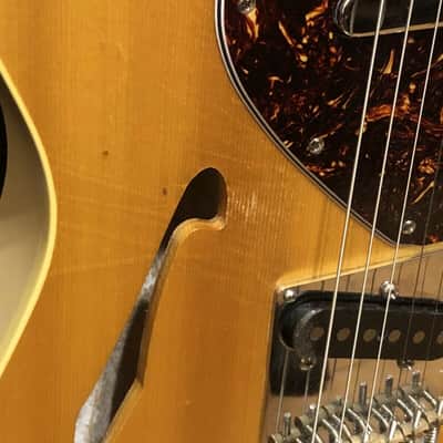 Warmoth Custom image 2