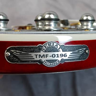 Teye Super Coyote Electric Gypsy Circa 2015 image 11