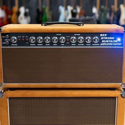 Amplified Nation Six String Sustain 50W Head & 212 Cab – Golden Brown Suede image 4