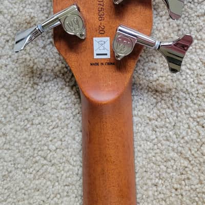 Warwick RockBass Alien Standard 5 String Fretless Acoustic Electric Bass Guitar, Gig Bag image 7
