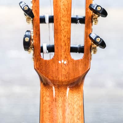 Cordoba C10 CD Lefty Luthier Series Solid Cedar Top Classical Guitar w/Case image 6