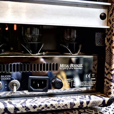 Mesa Boogie Stiletto Trident II Head and 4x12" Cabinet -2011-2012- Snakeskin - Ultra Rare image 24