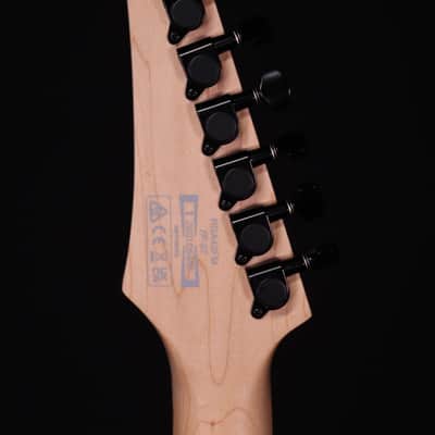 Ibanez RGA42 Flame Maple Top, Mahogany Electric Guitar, Blue Lagoon Burst Flat image 9