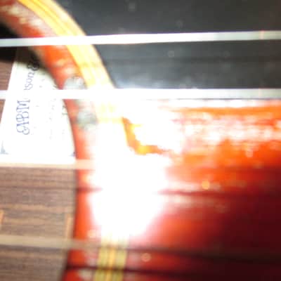 Andy Manson Magpie Acoustic Guitar image 21