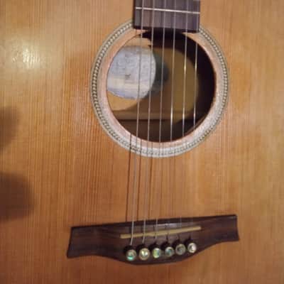 Seagull Entourage Dreadnought 2018 - Autumn Burst image 4