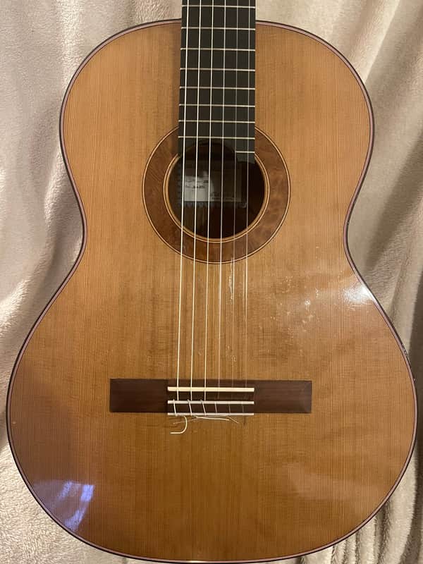Shadowfax (Matt Jacobs) Concert Classical Guitar 2015 - Cedar/Rosewood image 1