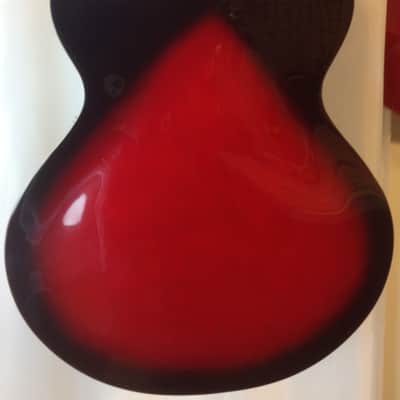 Douglas / MORTone Hollow body 8 string electric mandocello , guitar conversion image 4