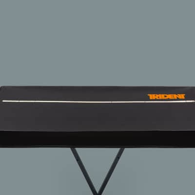 Korg TRIDENT cover