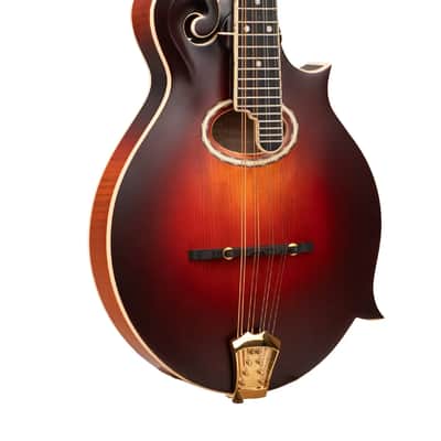 Gold Tone GM-80: F-Style Mandolin with Case image 1