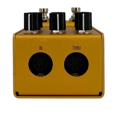 Walrus Audio MAKO Series ACS1 Amp + Cab Simulation  in very good condition image 4