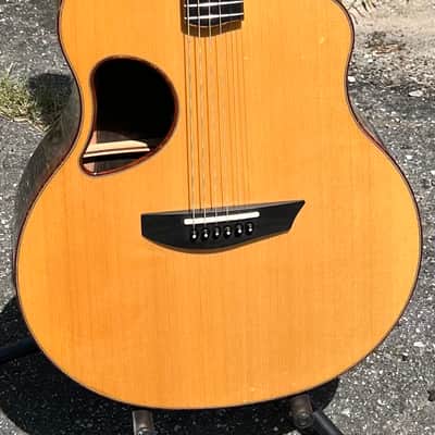 McPherson MG-3.5XP Acoustic/Electric Guitar W/OHSC Striped Macassar Ebony/Spuce image 2