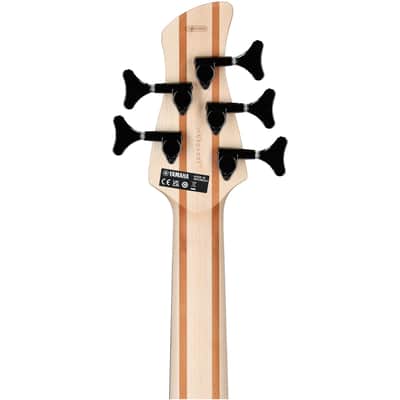 Yamaha TRBX605FM Electric Bass, 5-String, Indigo Blue image 6