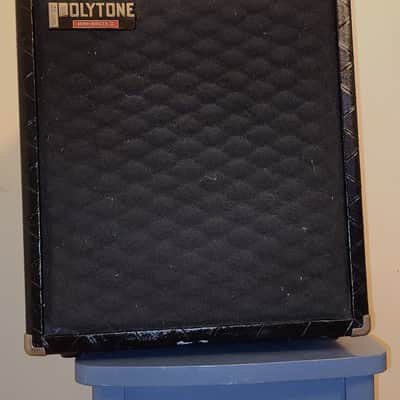 Polytone Mini-Brute II FREE shipping image 1