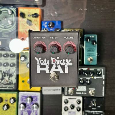 ProCo You Dirty RAT | Reverb
