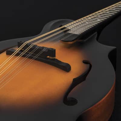 Washburn M108S | American Series F Style Mandolin w/ HSC. Vintage Sunburst. New with Full Warranty! image 5