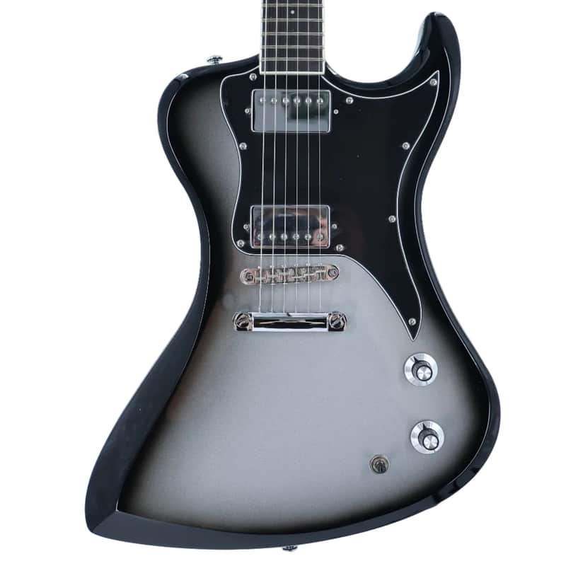Dunable R2 DE Series Guitar - Silverburst image 1