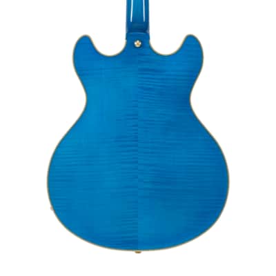 D'Angelico Limited Edition Premier Grateful Dead DC Semi-Hollow Electric Guitar image 6