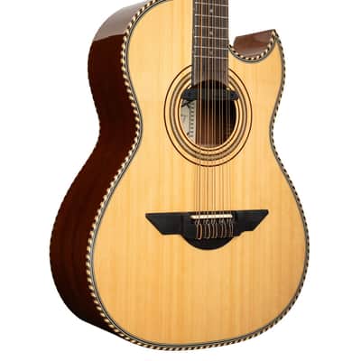 H. Jimenez El Estandar Acoustic-Electric Bajo Quinto image 1