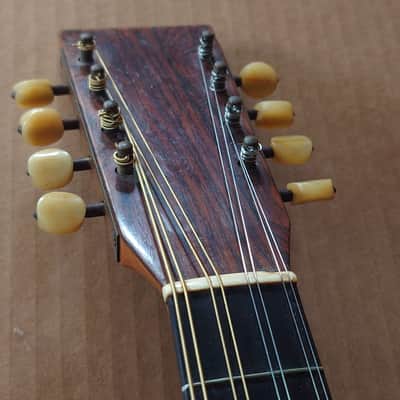 Rare Schwarzer Model 120 "Echo" bowl back mandolin Circa 1900 image 9