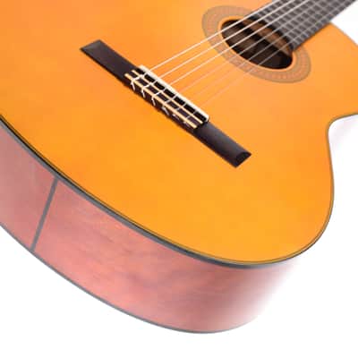 CG/CGX Series Nylon Spruce - Matte Natural image 9