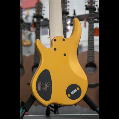 DINGWALL NG3 6 Strings Gold Matte Bild 3