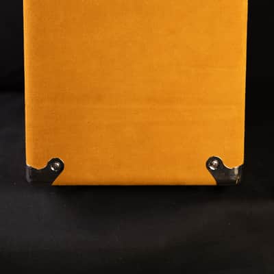 Amplified Nation Dirty Wonderland 2021 - Buckskin Suede 50 Watt image 4