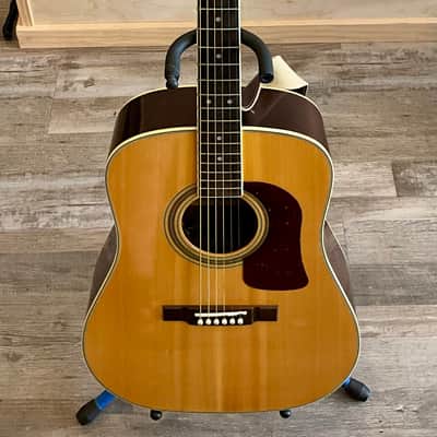 Washburn D21S Dreadnought Acoustic Guitar w/ O.H.S.C. image 1