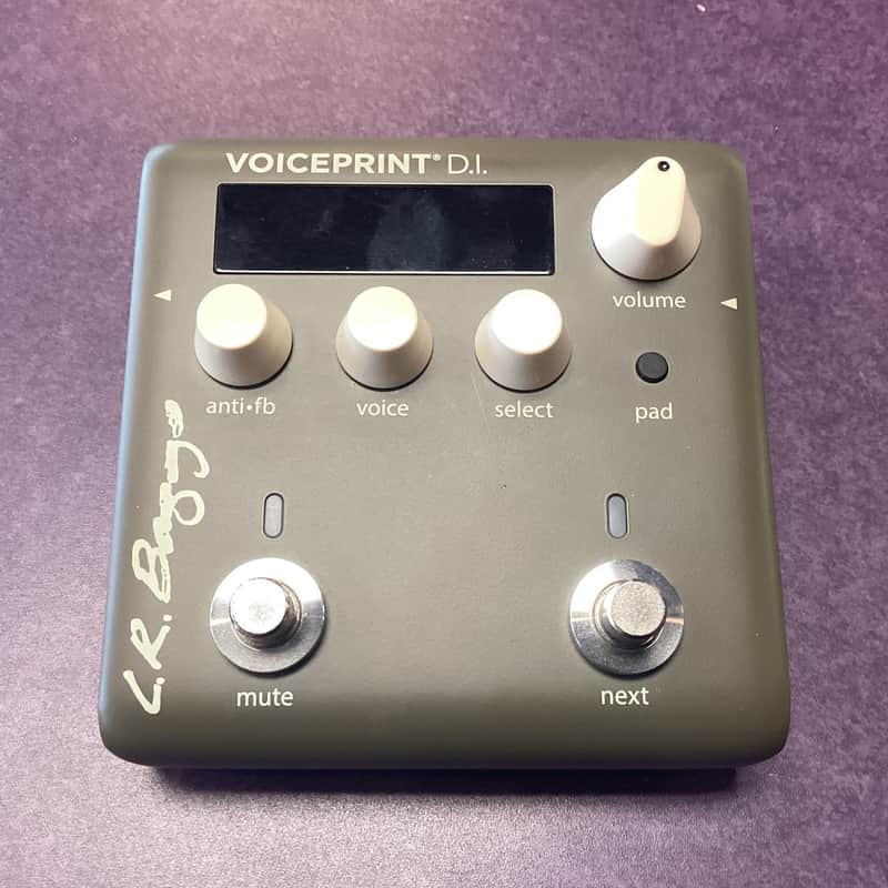 L.R. Baggs Voiceprint D.I. Acoustic Guitar Impulse Response Pedal image 1
