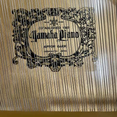 Yamaha PIANOFORTE MEZZA CODA C3 NERO image 12