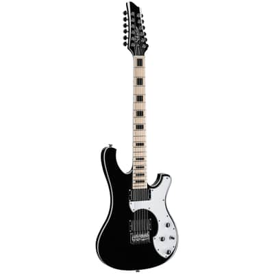 Schecter Stargazer 12-String Electric Guitar, Gloss Black image 2