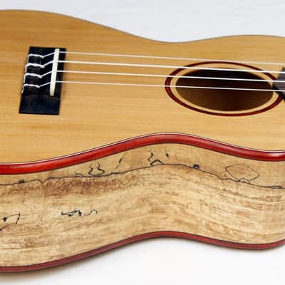 Cordoba 24T-CE Tenor Single Cutaway Acoustic-Electric Ukulele Cedar/Maple #32759 image 9