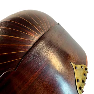 Mandoline de Concert Luigi Tamagno de 1904 image 15