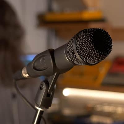 Earthworks Audio SR117 Supercardioid Vocal Condenser Microphone image 6