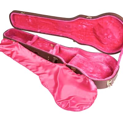 Gator Cases GW-LP-BROWN Gibson Les Paul Guitar Deluxe Wood Case - Brown image 7