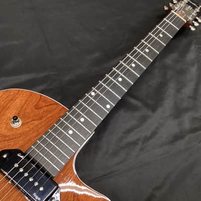 Godin 5th Avenue Uptown Custom Havana Burst image 3