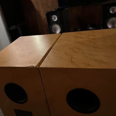 Sonics Anima by Joachim Gerhard with Class D Amp image 8