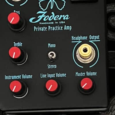 Fodera Practice Amp image 2