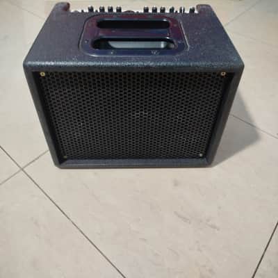 AER Compact 60/4 60-Watt 1x8" Acoustic Guitar Combo/voce image 2