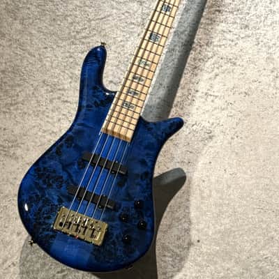 Spector Euro 5 CST Black & Blue w/White Back Gloss [3.98kg] image 2