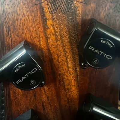 Warwick Dolphin 4-string bass image 12