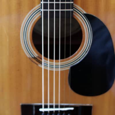Antares Acoustic Guitar DX 26 Korea 1990s image 9