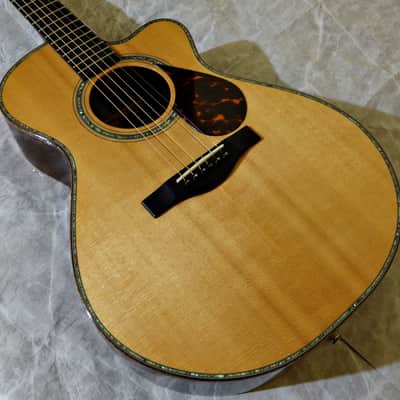 Kathy Wingert Model EVC - (Brazilian RW) image 4