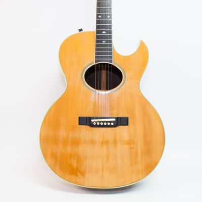 Washburn Tanglewood - Natural Rose Wood image 2