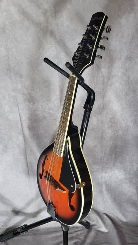 Beautiful Bluegrass Mandolin – Excellent Condition & Powerful Tone image 1