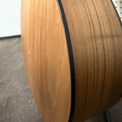 Taylor 114E 2007 - Present - Natural w/Case image 15