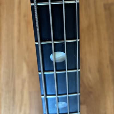 Alembic 20th Anniversary AM 4 string Bass guitar Omega Burl Walnut image 9